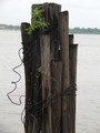 2007-Louisiana-Mission-Trip EBC (377).JPG